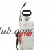 RL Flo-Master 2-Gallon PRO Sprayer with Viton Seals   556201026